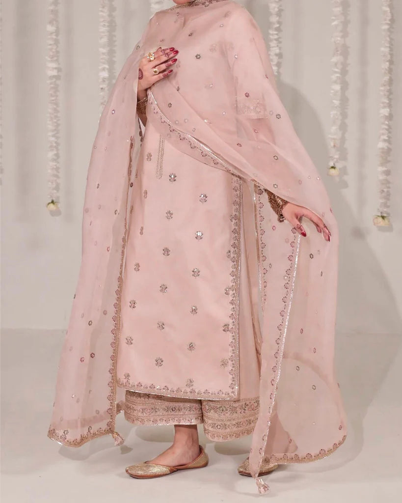 3-PC Stitched Embroidered Outfit