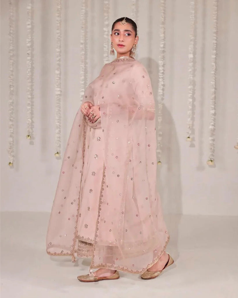 3-PC Stitched Embroidered Outfit