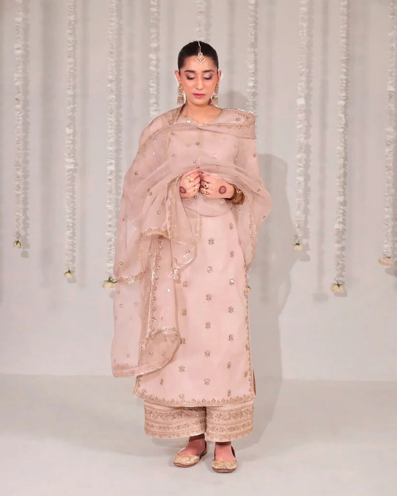 3-PC Stitched Embroidered Outfit