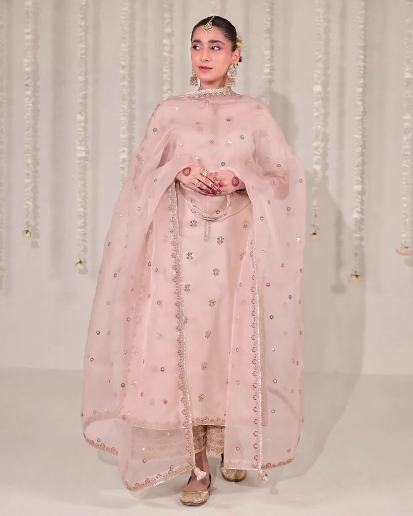 3-PC Stitched Embroidered Outfit